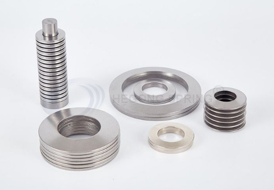 Corrosion Resistant Disc Springs