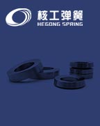 Belleville Washers DIN6796